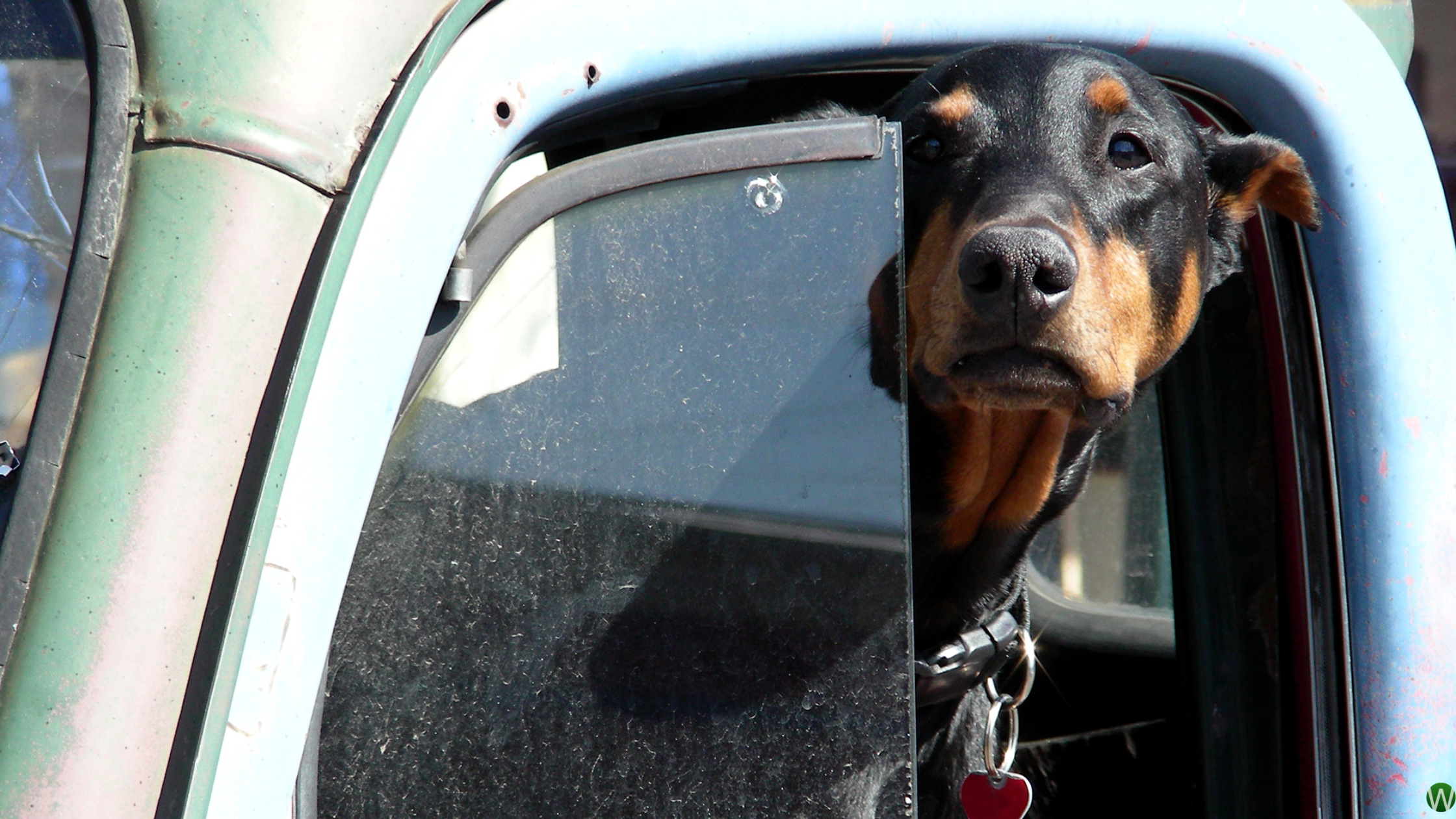 Master Safe and Defensive Driving Techniques for Every Situation