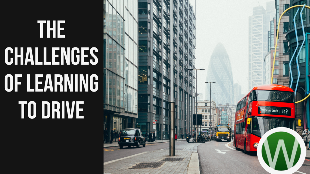 The Challenges Of Learning To Drive