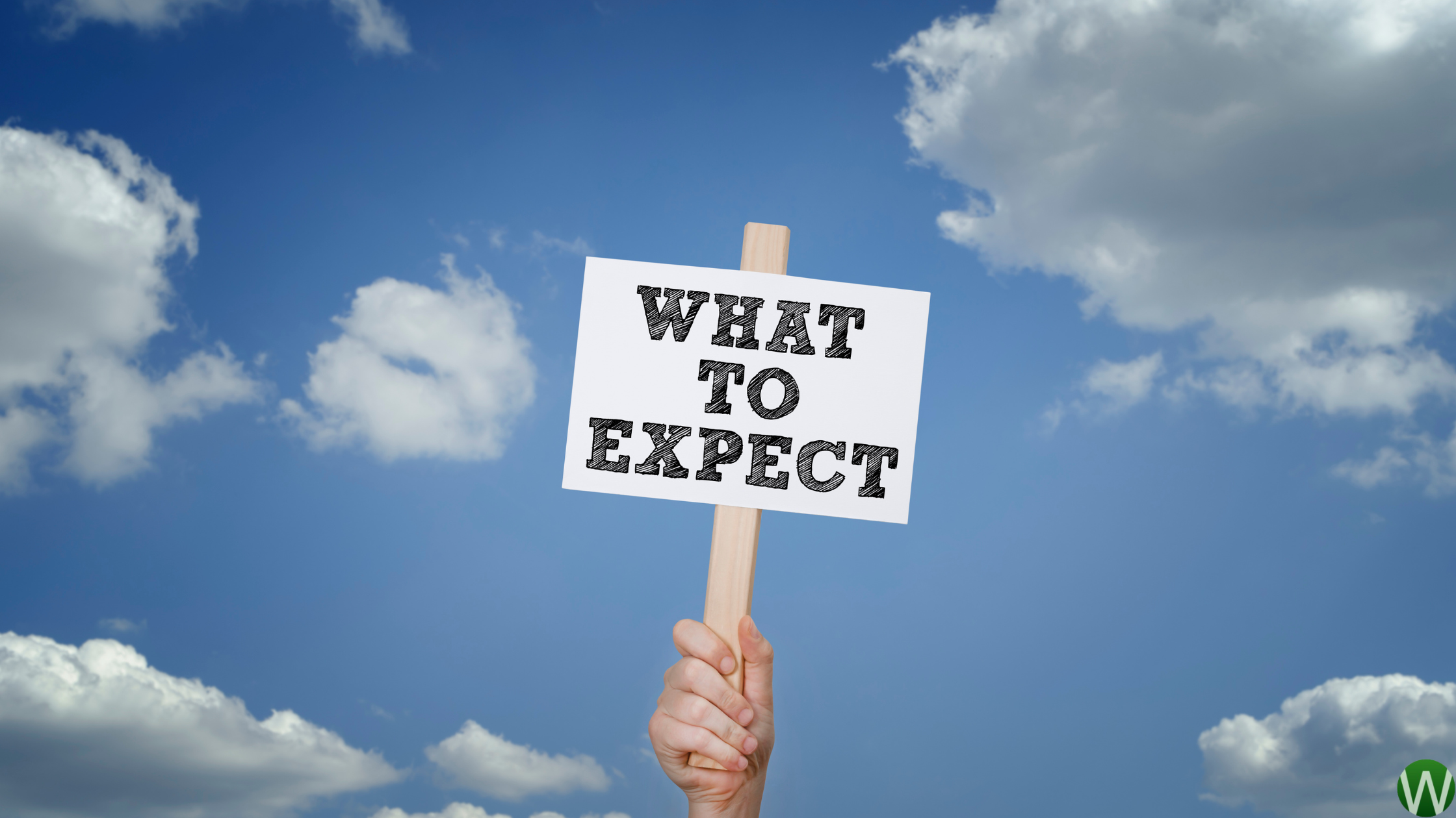 What to Expect on Your First Driving Lesson in London